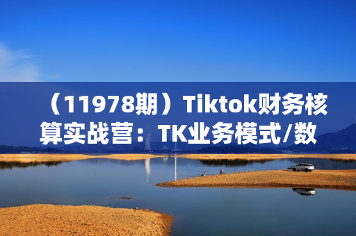 （11978期）Tiktok财务核算实战营：TK业务模式/数据核算/应收款及毛利/数据下载及报表