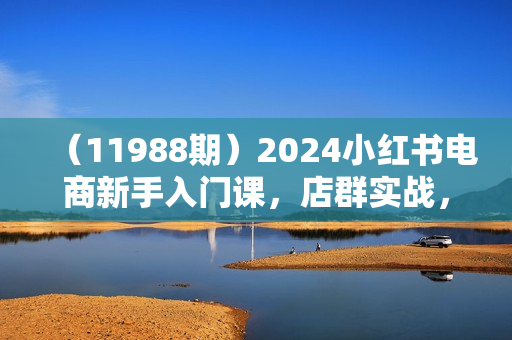 （11988期）2024小红书电商新手入门课，店群实战，从0开始到学会（31节）