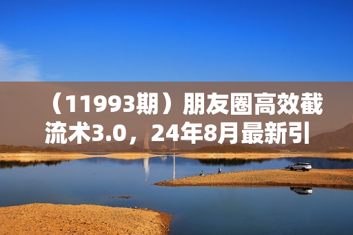 （11993期）朋友圈高效截流术3.0，24年8月最新引流玩法，轻松日引300+创业粉，附全