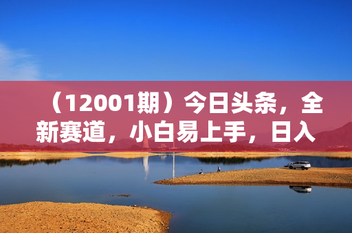 （12001期）今日头条，全新赛道，小白易上手，日入2000+