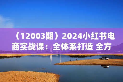 （12003期）2024小红书电商实战课：全体系打造 全方位梳理 小红书电商逻辑体系 (42节)