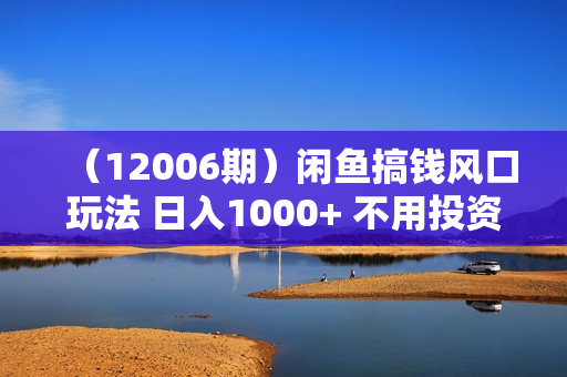 （12006期）闲鱼搞钱风口玩法 日入1000+ 不用投资一分钱 新手小白轻松上手