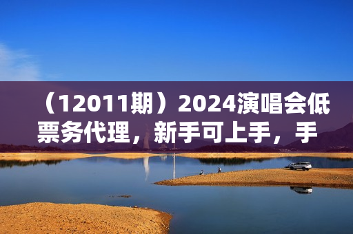 （12011期）2024演唱会低票务代理，新手可上手，手把手教你卖票，日入2000+，会玩
