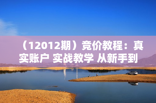 （12012期）竞价教程：真实账户 实战教学 从新手到进阶·后台操作到数据优化