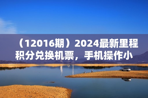 （12016期）2024最新里程积分兑换机票，手机操作小白轻松月入5万++
