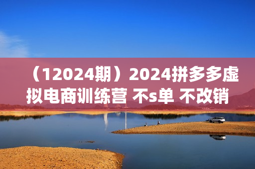 （12024期）2024拼多多虚拟电商训练营 不s单 不改销量  做虚拟项目分一杯羹(更新10节)