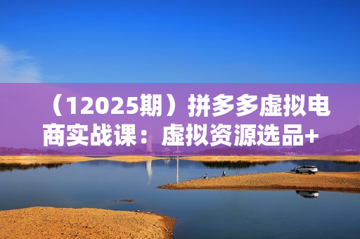 （12025期）拼多多虚拟电商实战课：虚拟资源选品+运营，高利润虚拟玩法（更新14节）