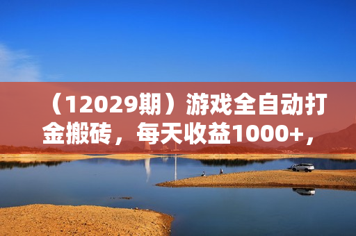 （12029期）游戏全自动打金搬砖，每天收益1000+，长期稳定的副业项目
