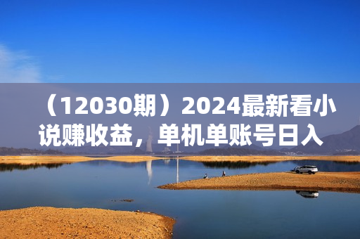 （12030期）2024最新看小说赚收益，单机单账号日入100+  适合个人和工作室