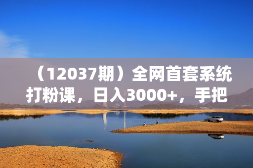 （12037期）全网首套系统打粉课，日入3000+，手把手各行引流SOP团队实战教程