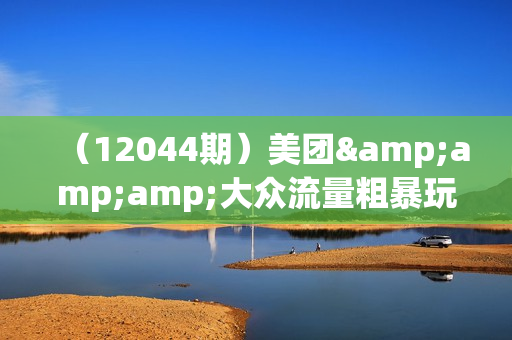 （12044期）美团&amp;amp;大众流量粗暴玩法，迅速高效掌握美大秘诀（24节）