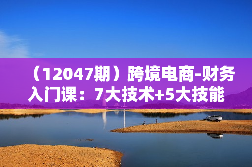（12047期）跨境电商-财务入门课：7大技术+5大技能（14节课）