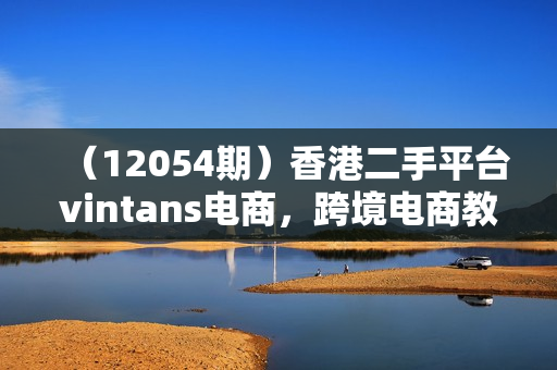 （12054期）香港二手平台vintans电商，跨境电商教程+资料