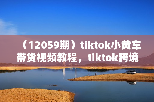 （12059期）tiktok小黄车带货视频教程，tiktok跨境电商（全套课程）