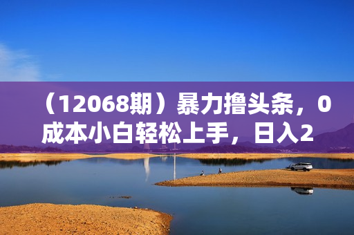 （12068期）暴力撸头条，0成本小白轻松上手，日入2000+