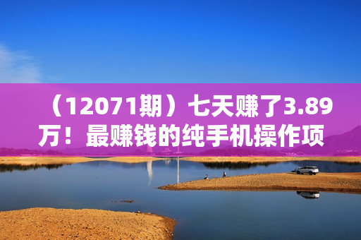 （12071期）七天赚了3.89万！最赚钱的纯手机操作项目！小白必学