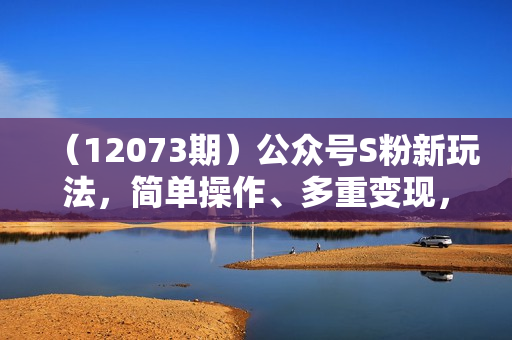（12073期）公众号S粉新玩法，简单操作、多重变现，每日收益1000+