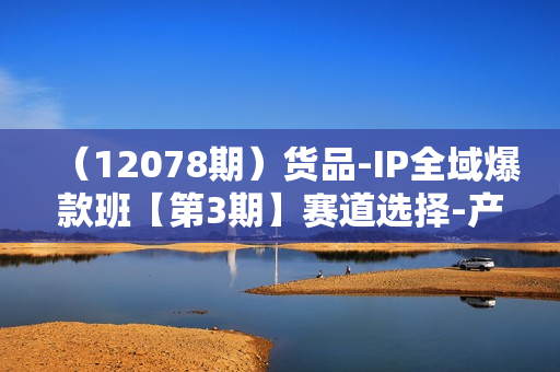 （12078期）货品-IP全域爆款班【第3期】赛道选择-产品策划到全域爆款，打造爆款货品IP