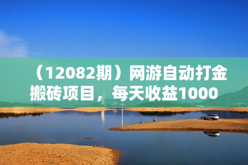 （12082期）网游自动打金搬砖项目，每天收益1000+，无脑操作