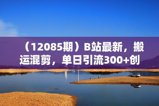 （12085期）B站最新，搬运混剪，单日引流300+创业粉
