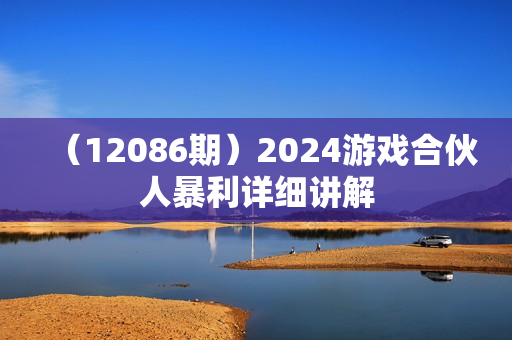 （12086期）2024游戏合伙人暴利详细讲解