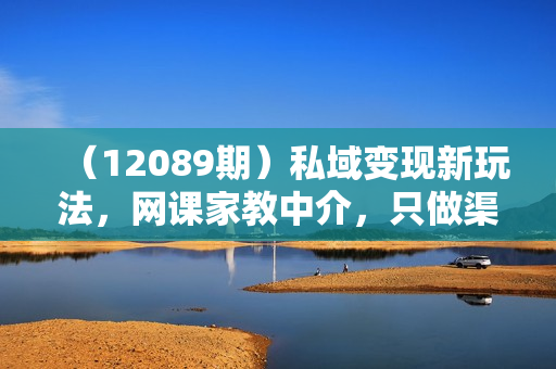 （12089期）私域变现新玩法，网课家教中介，只做渠道和流量，让大学生给你打工、0