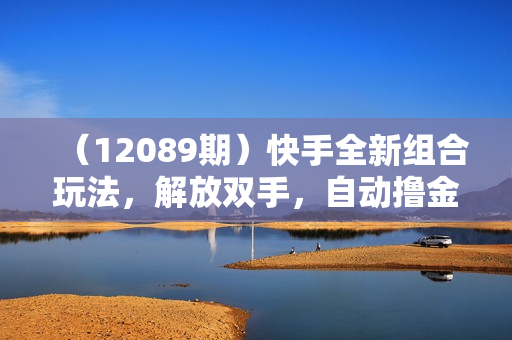 （12089期）快手全新组合玩法，解放双手，自动撸金，单号日入几十，可矩阵操作