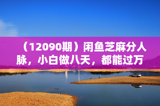 （12090期）闲鱼芝麻分人脉，小白做八天，都能过万！首选副业！