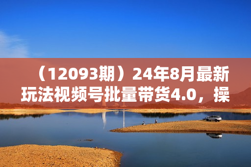 （12093期）24年8月最新玩法视频号批量带货4.0，操作简单可多号账号分发，附全套落