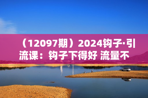 （12097期）2024钩子·引流课：钩子下得好 流量不再愁，定位篇/标签篇/破播放篇/24节