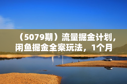 （5079期）流量掘金计划，闲鱼掘金全案玩法，1个月预估收益500-2000+