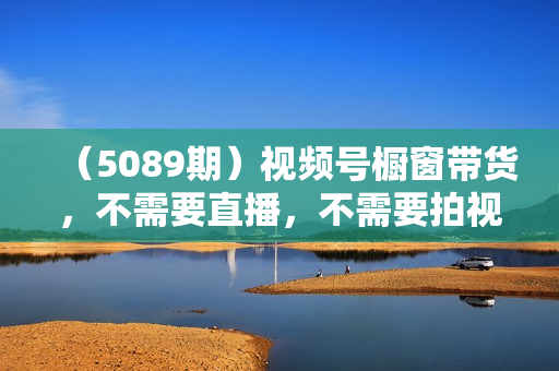 （5089期）视频号橱窗带货，不需要直播，不需要拍视频，一天佣金300左右