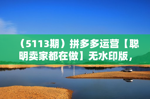 （5113期）拼多多运营【聪明卖家都在做】无水印版，为拼多多中小卖家解决业绩增长难题