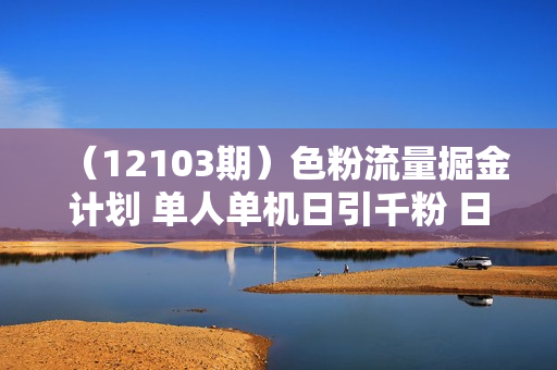（12103期）色粉流量掘金计划 单人单机日引千粉 日入1000+ 前端自动化回复   后端