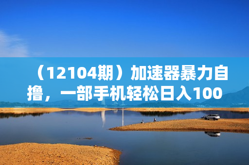 （12104期）加速器暴力自撸，一部手机轻松日入1000+