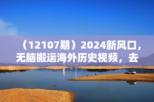 （12107期）2024新风口，无脑搬运海外历史视频，去重一键发布，小白可做，月入1w不