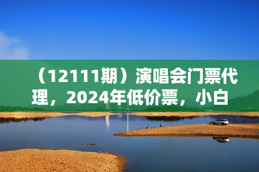 （12111期）演唱会门票代理，2024年低价票，小白能上手，手把手教你卖票，日入2000+