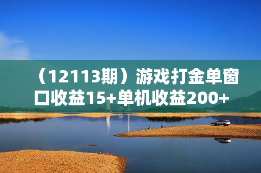 （12113期）游戏打金单窗口收益15+单机收益200+