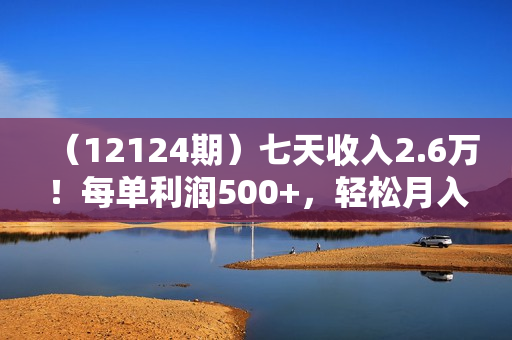 （12124期）七天收入2.6万！每单利润500+，轻松月入5万+小白有手就行