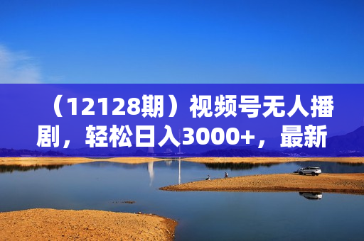 （12128期）视频号无人播剧，轻松日入3000+，最新蓝海项目，拉爆流量收益，多种变