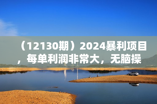 （12130期）2024暴利项目，每单利润非常大，无脑操作，纯手机操作简单，小白必学项目