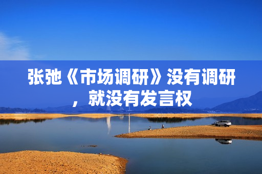 张弛《市场调研》没有调研，就没有发言权