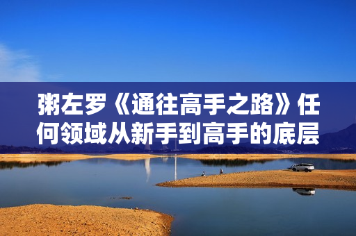 粥左罗《通往高手之路》任何领域从新手到高手的底层方法