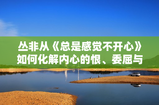 丛非从《总是感觉不开心》如何化解内心的恨、委屈与悲伤