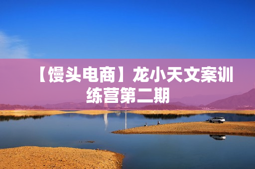 【馒头电商】龙小天文案训练营第二期