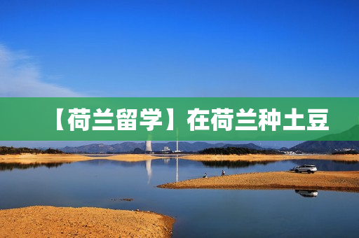 【荷兰留学】在荷兰种土豆