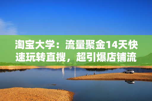 淘宝大学：流量聚金14天快速玩转直搜，超引爆店铺流量，价值8800元