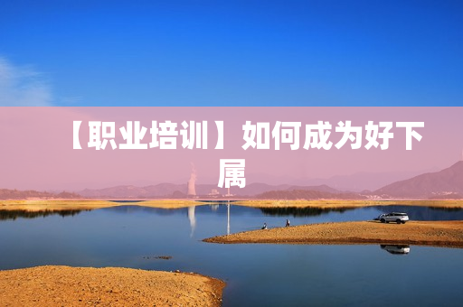 【职业培训】如何成为好下属