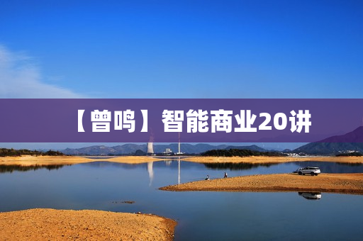 【曾鸣】智能商业20讲