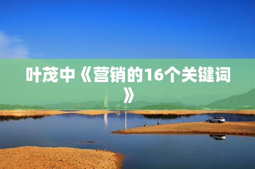 叶茂中《营销的16个关键词》